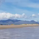 Traditional Stradbally