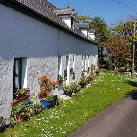 Vakantiehuis Traditional Stradbally