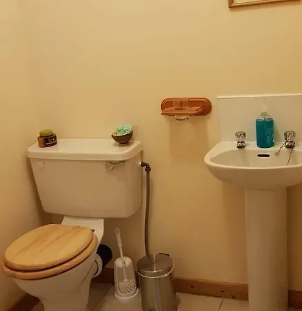 Vakantiehuis Traditional Stradbally