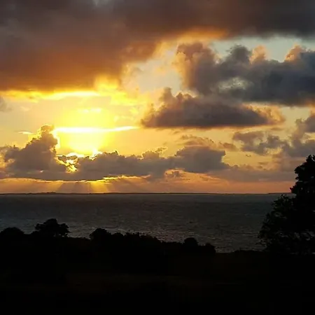 Traditional Stradbally *