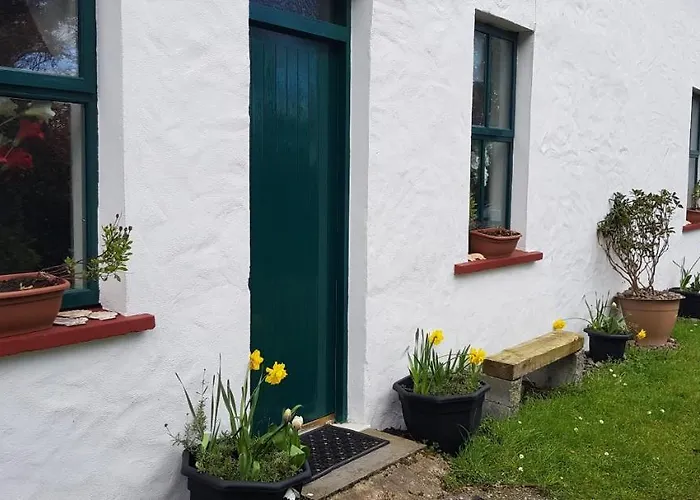 Traditional Stradbally * 卡索格加里