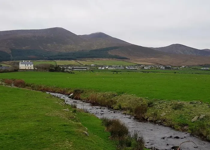 Traditional Stradbally Castlegregory