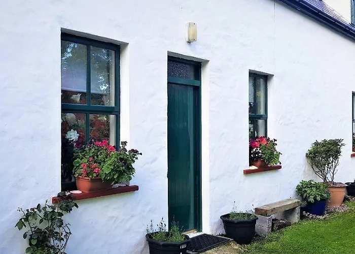 Traditional Stradbally 度假居 *