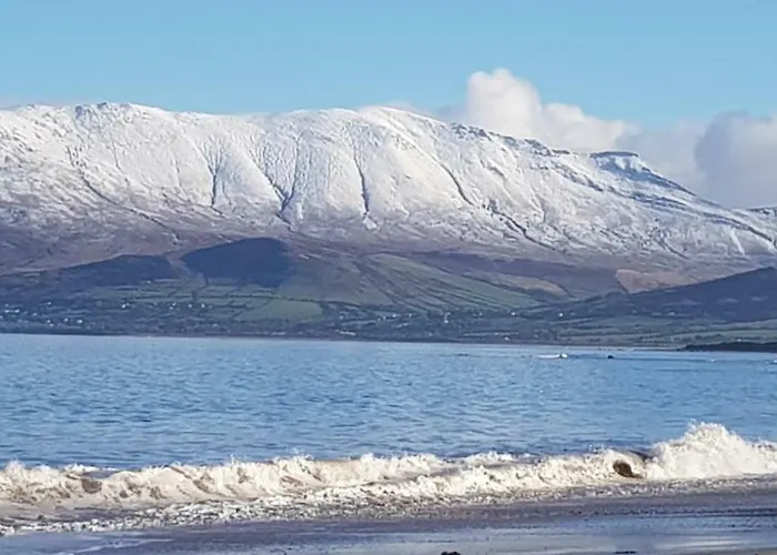 Traditional Stradbally * 卡索格加里