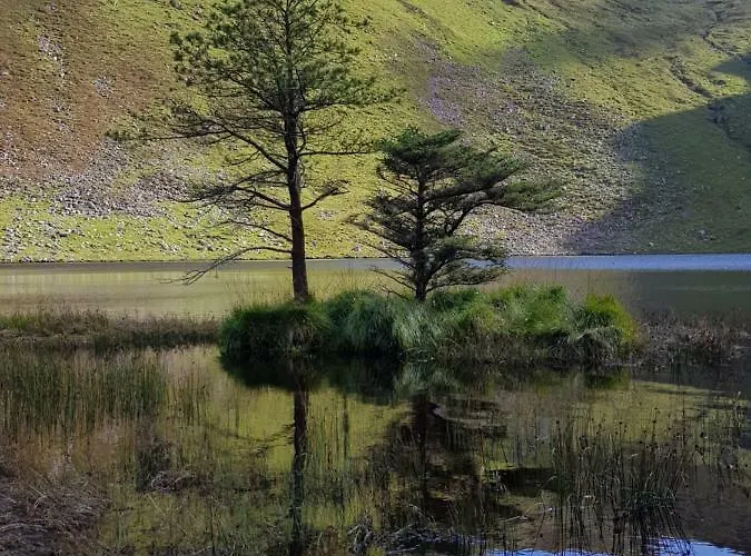 度假居 Traditional Stradbally *