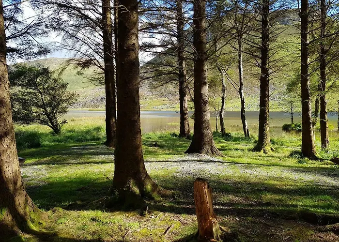 Traditional Stradbally 度假居 卡索格加里