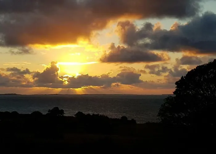 Traditional Stradbally *